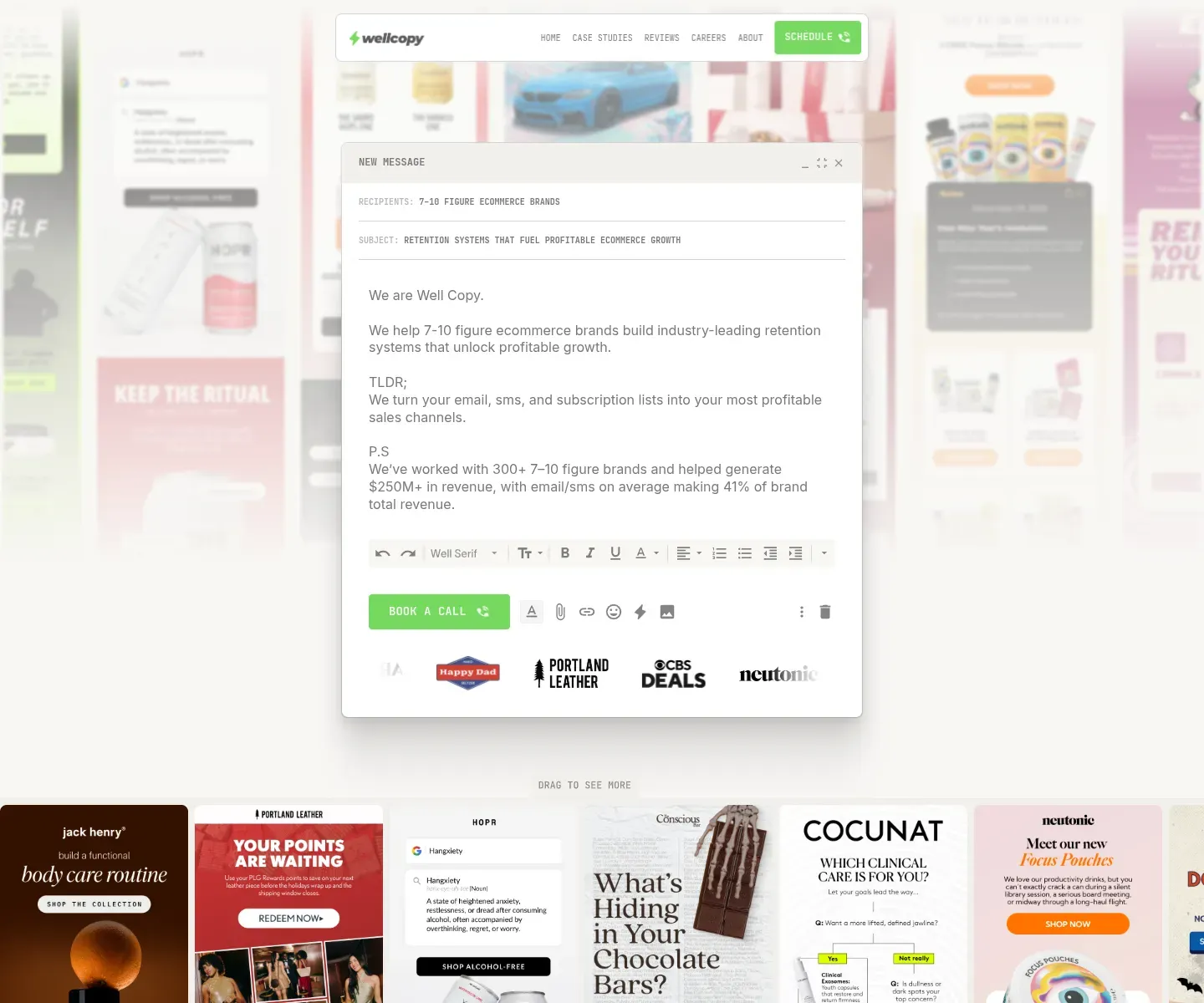 Wellcopy Landing Page - Book a Call